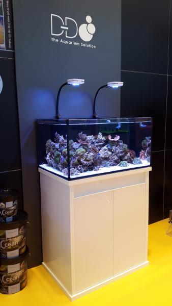 D-D Reef-Pro 900 DriftwoodConcrete -  Aquariumsystem