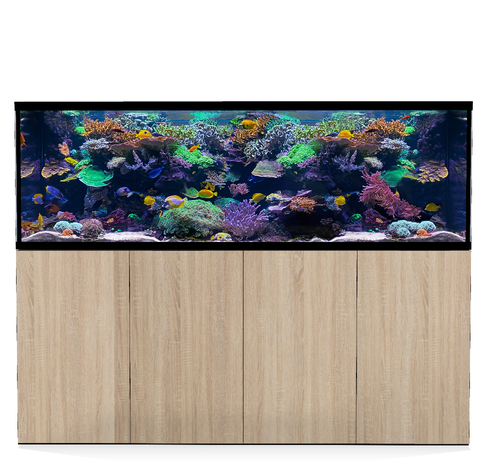 D-D Aqua-Pro Reef 2100- Metal Frame Platinum Oak