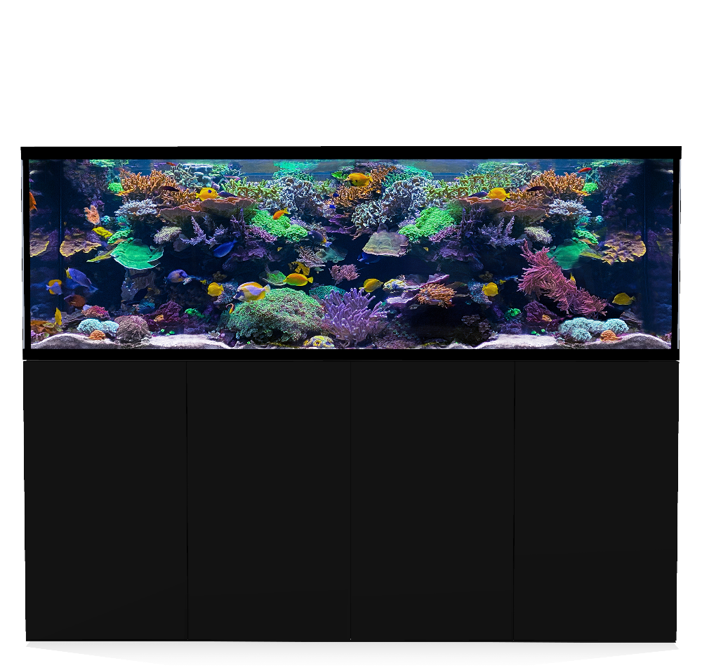 D-D Aqua-Pro Reef 2100- Metal Frame Black Satin