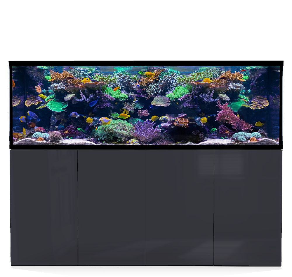 D-D Aqua-Pro Reef 2100- Metal Frame Anthracite Gloss