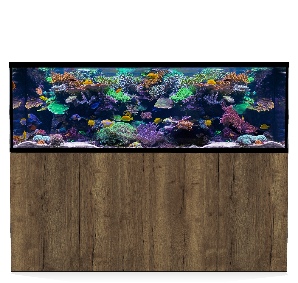 D-D Aqua-Pro Reef 2100- Metal Frame Tobacco Oak