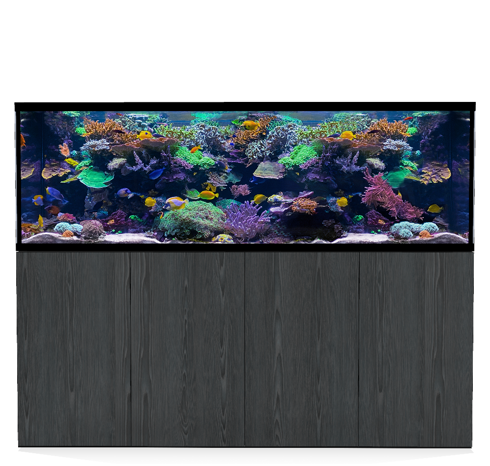 D-D Aqua-Pro Reef 2100- Metal Frame Carbon Oak