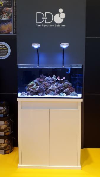 D-D Reef-Pro 900 DriftwoodConcrete -  Aquariumsystem