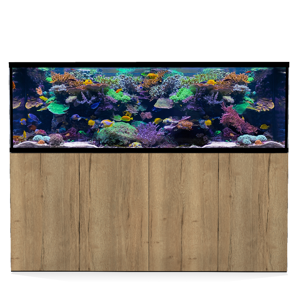 D-D Aqua-Pro Reef 2100- Metal Frame Natural Oak
