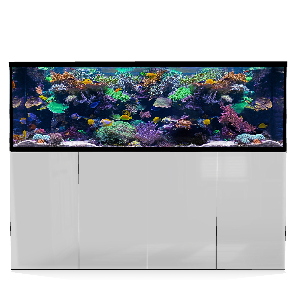 D-D Aqua-Pro Reef 2100- Metal Frame White Gloss