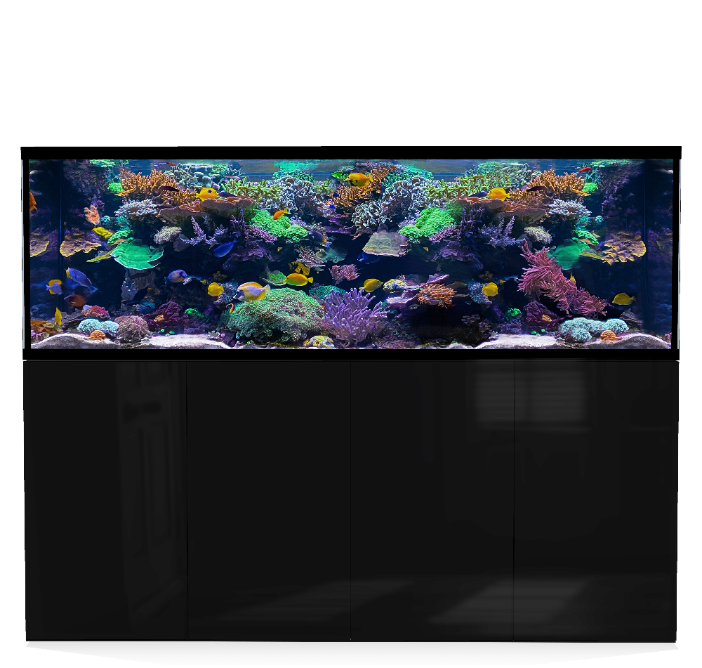 D-D Aqua-Pro Reef 2100- Metal Frame Black Gloss