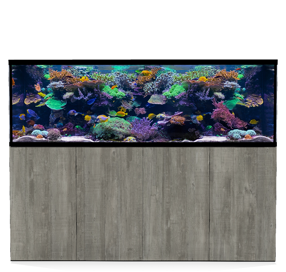 D-D Aqua-Pro Reef 2100- Metal Frame Driftwood Concrete