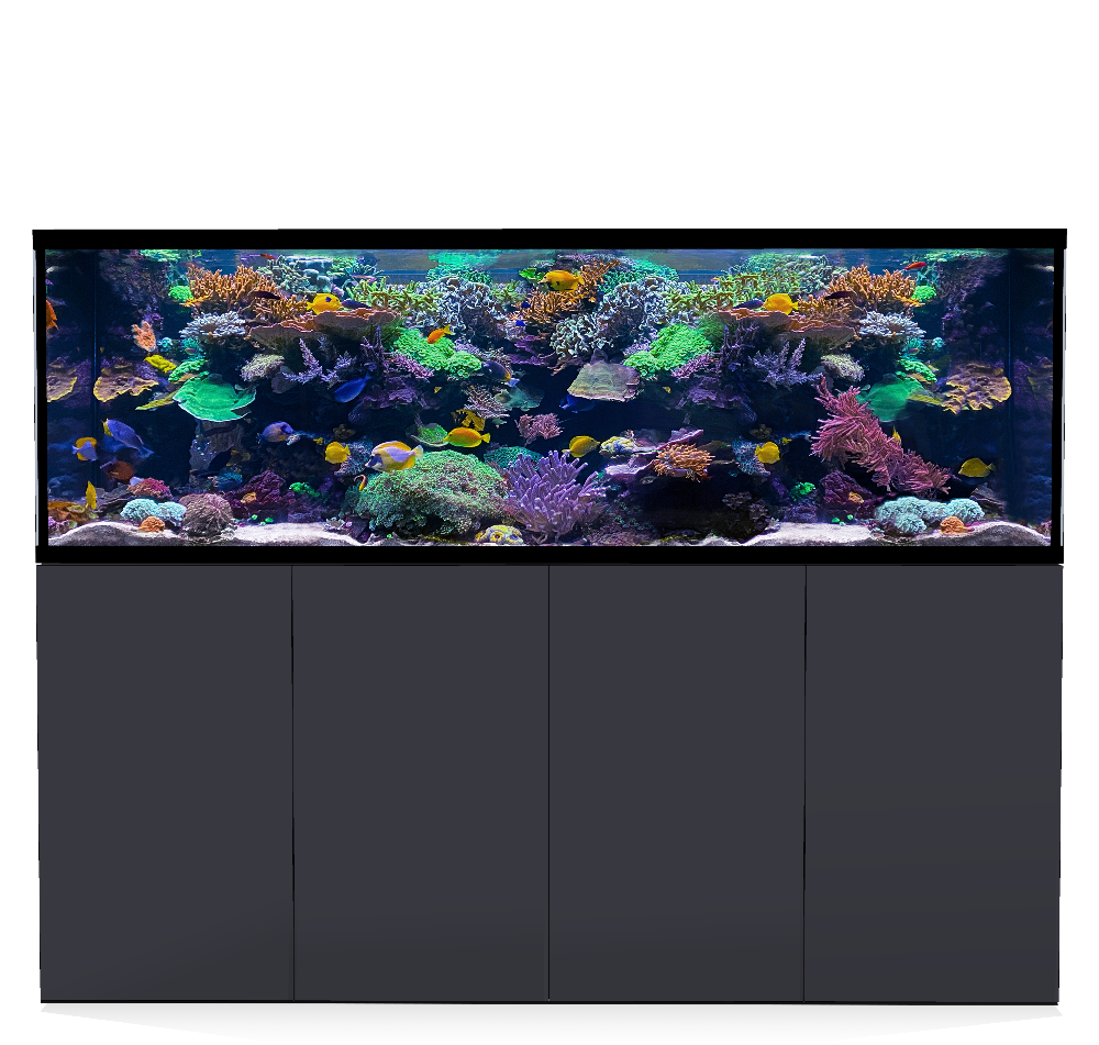 D-D Aqua-Pro Reef 2100- Metal Frame Anthracite Matt
